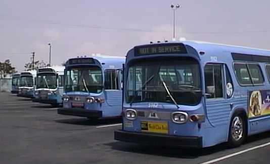 Santa Monica Big Blue Bus Fishbowls